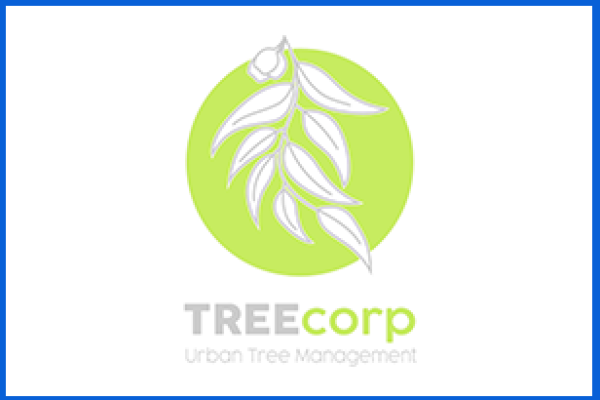 treecorp211DD13D-9579-B1DF-C9EF-F21F1B0C7B89.png